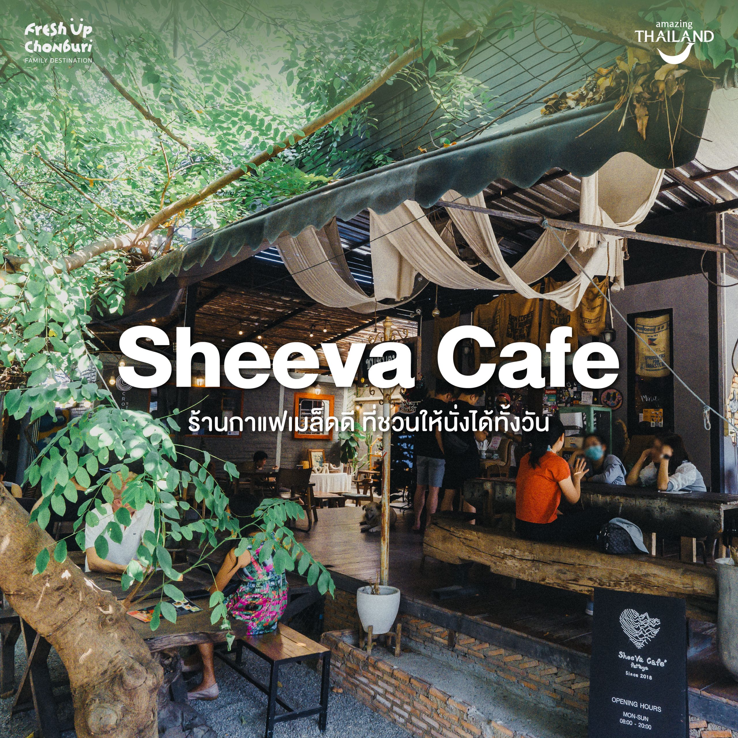#ChonChecklist ‘Sheeva Cafe ร้านกาแฟเมล็ดดี ที่ชวนให้นั่งได้ทั้งวัน’