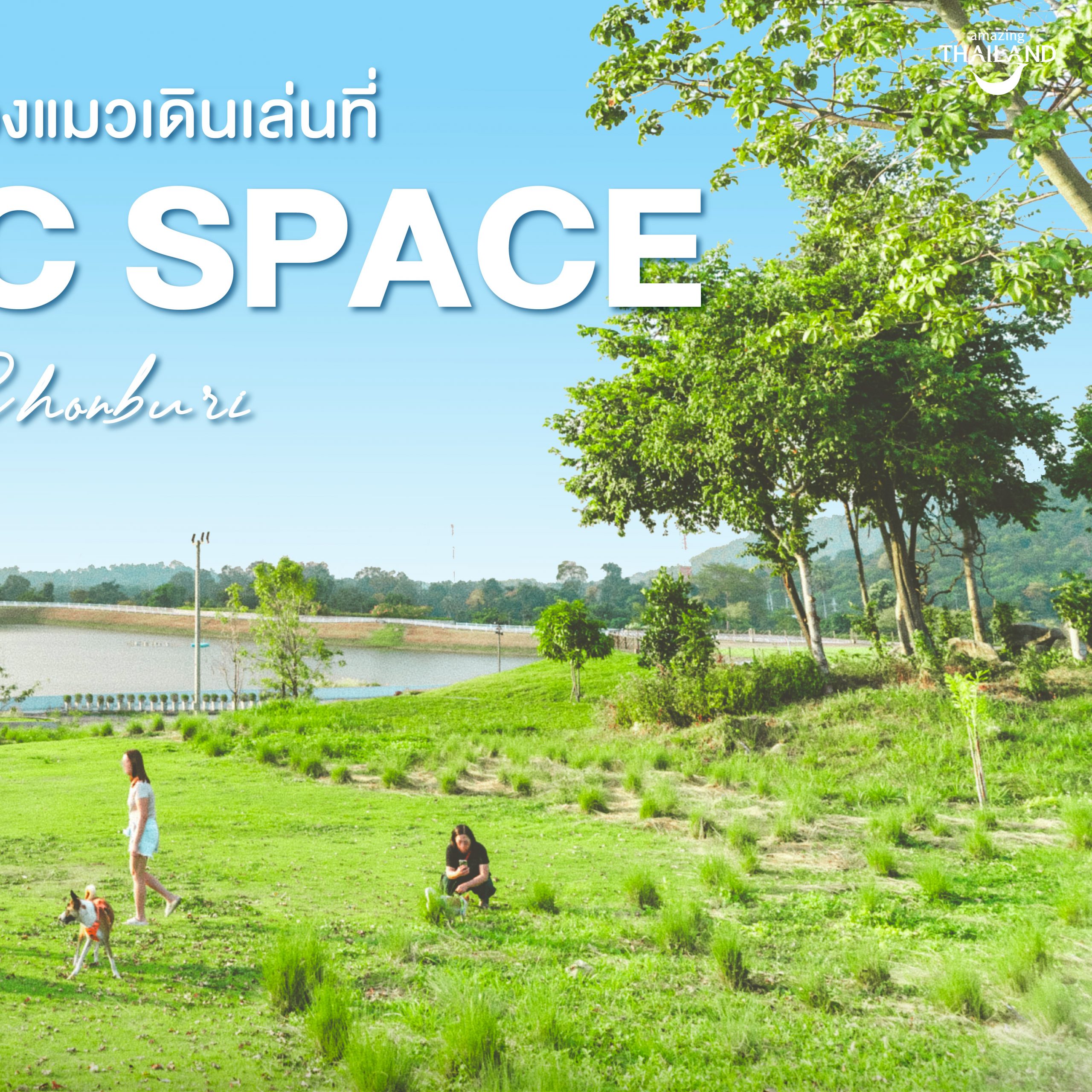 #ChonJourney พาน้องหมาน้องแมวเดินเล่นที่ 4 Public Space @ ชลบุรี