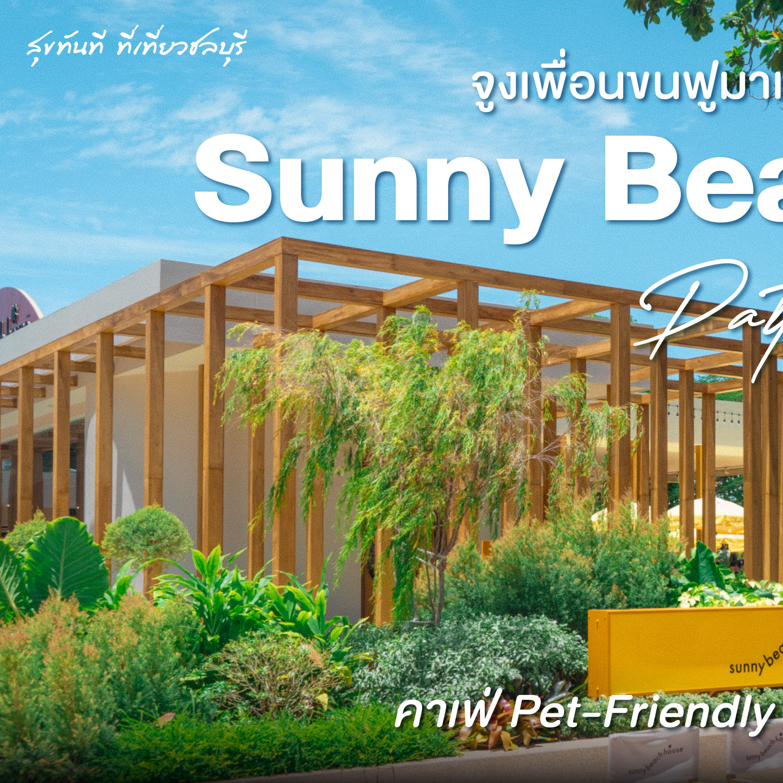 #ChonChecklist จูงเพื่อนขนฟูมาเติมความสดใสที่  Sunny Beach House Pattaya  คาเฟ่ Pet-Friendly บรรยากาศสุดชิลล์