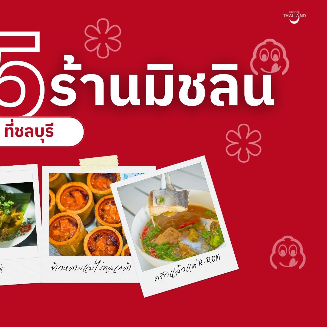 TAT – Thumbnail (1)-food2